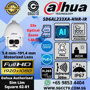 DAHUA Video Management Software VMS DSS7116D Video Analytic Perimeter Protection People Counting Security CCTV Camera Singapore 9 DAHUA CCTV Singapore Dahua Security System SGCCTV Dahua NVR CCTV Camera Repair Video Intercom Access Control Singapore